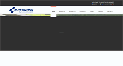 Desktop Screenshot of bluecrossmarketing.com